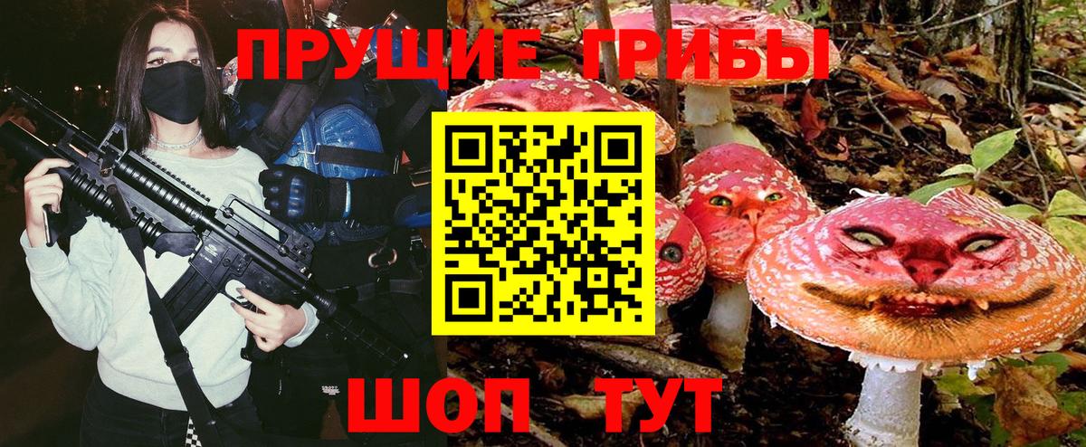 Галлюциногенные грибы Psilocybe  Галлюциногенные грибы ЛСД  Вход с VPN  где продают наркотики  Минеральные Воды 